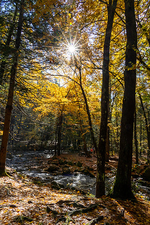 _K6A3329-3