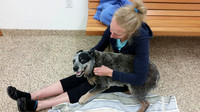 Judy - Wales Picture