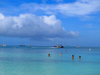 2022 Aruba                  IMG_6178 17