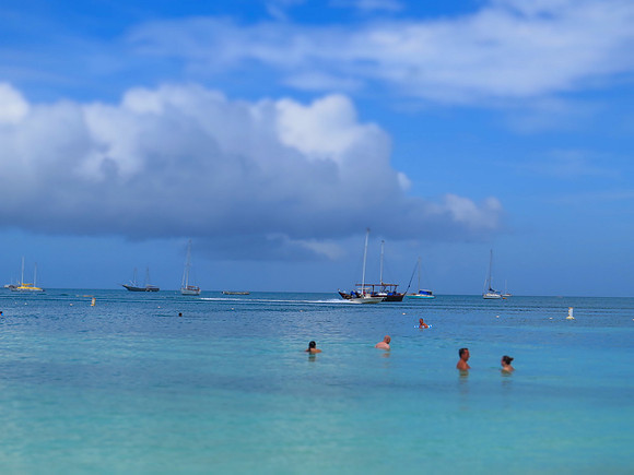 2022 Aruba                  IMG_6178 17