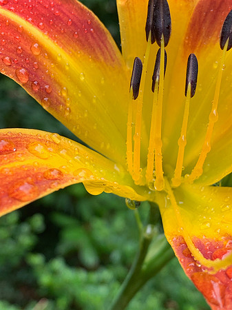 2019 MV iphone 17-21jul19  IMG_0739 20