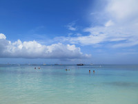 2022 Aruba                  IMG_6175 14
