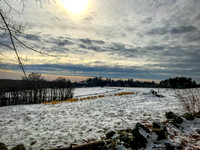 2019 Ward Reservation 2feb19  IMG_0500 2
