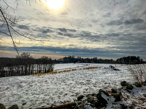 2019 Ward Reservation 2feb19  IMG_0500 2