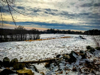 2019 Ward Reservation 2feb19  IMG_0499 3