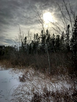 2019 Ward Reservation 2feb19  IMG_0503 1