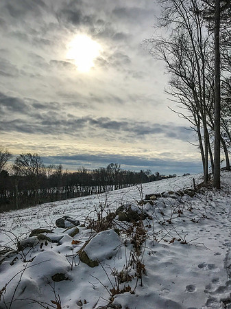 2019 Ward Reservation 2feb19  IMG_0495 5