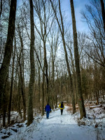 2019 Ward Reservation 2feb19  IMG_0492 6