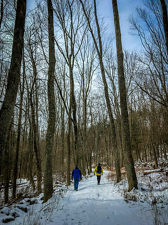 2019 Ward Reservation 2feb19  IMG_0492 6