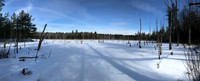 2019 Ward Reservation 2feb19  IMG_0467 11