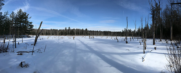 2019 Ward Reservation 2feb19  IMG_0467 11