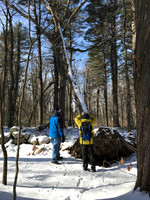 2019 Ward Reservation 2feb19  IMG_0461 13
