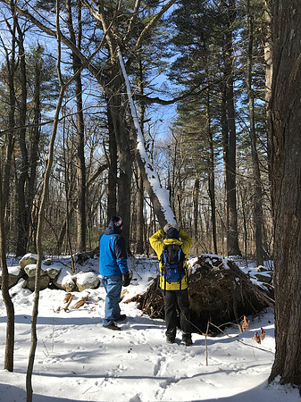 2019 Ward Reservation 2feb19  IMG_0461 13