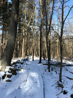 2019 Ward Reservation 2feb19  IMG_0459 14