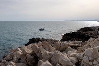 2024 France 5-14apr24                          _K6A9855  63