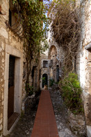 2024 France 5-14apr24                          _K6A9872  70