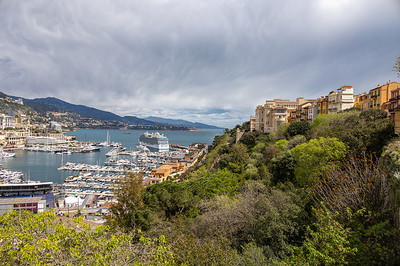 2024 France 5-14apr24                          2K6A0011  140