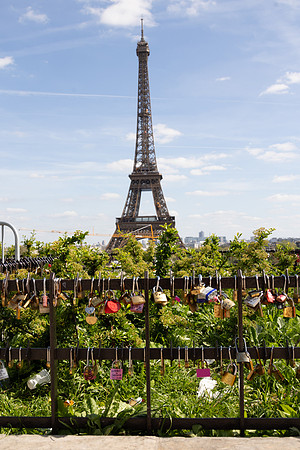2024 France 5-14apr24                          2K6A0221  225