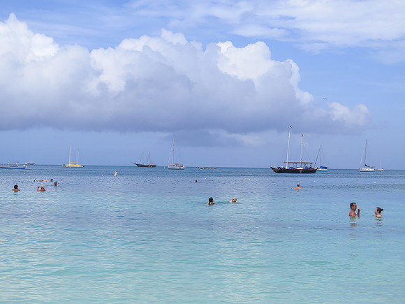 2022 Aruba                  IMG_6176 15