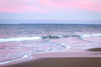 2022 Plum Island and Newburyport 20jan22              _K6A1590 9
