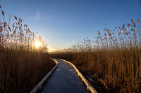 2022 Plum Island and Newburyport 20jan22              _K6A1513 1