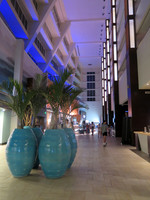 2022 Aruba                  IMG_6162 6